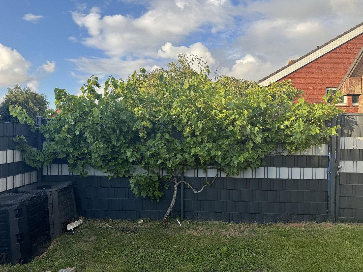 Predaj domu 250 m², pozemek 654 m², Norden, Dolné Sasko Predaj domu 250 m², pozemek 654 m², Norden, Dolné Sasko