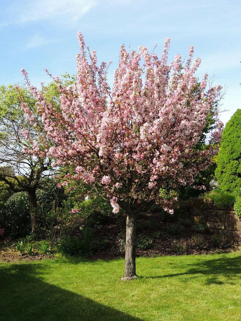 Predaj domu 181 m², pozemek 617 m², Hangstraße 18, Nünschweiler, Porýnie-Falcko Predaj domu 181 m², pozemek 617 m², Hangstraße 18, Nünschweiler, Porýnie-Falcko