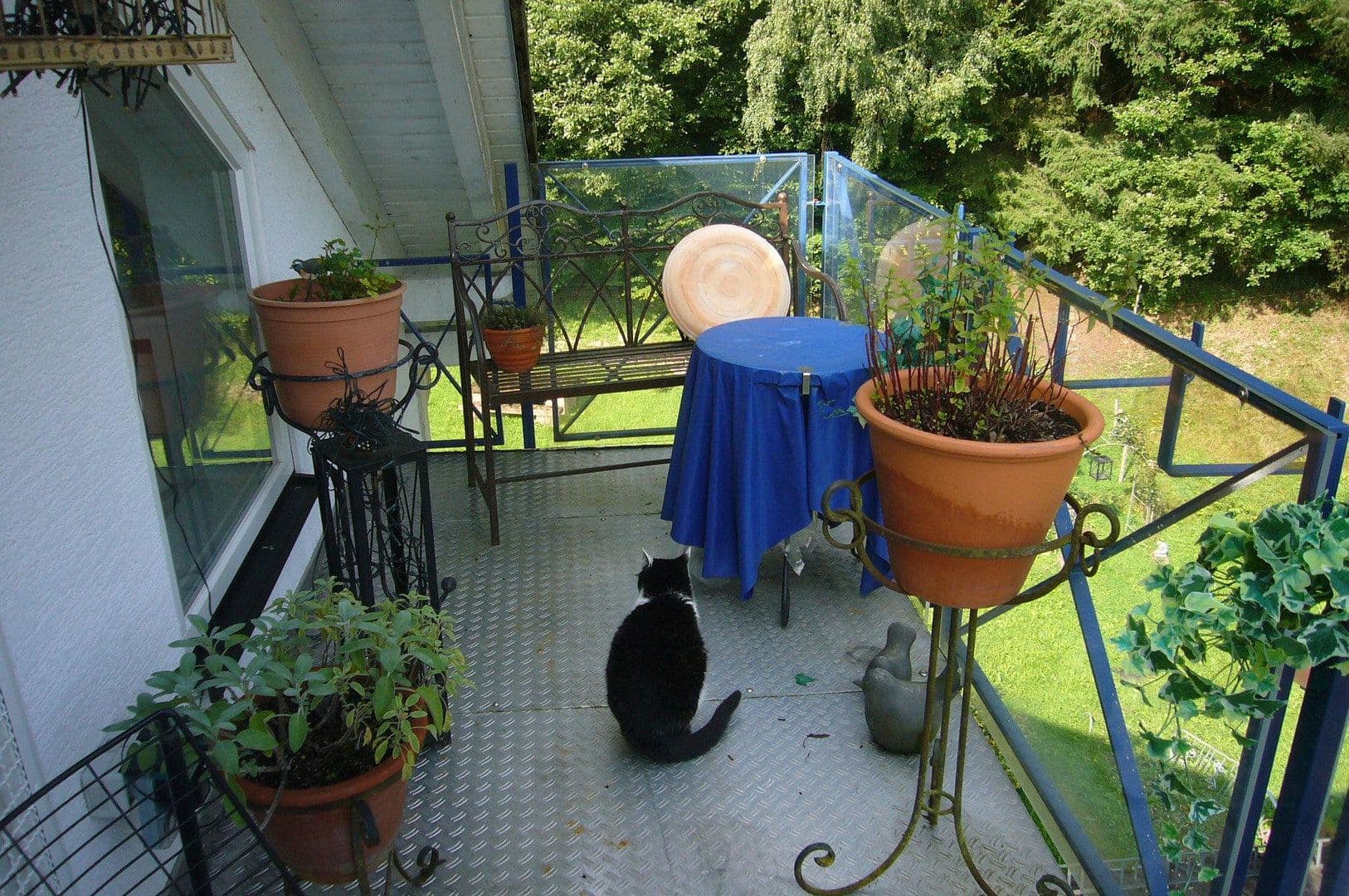 Predaj domu 580 m², pozemek 6.808 m², Oberzent, Hesensko Predaj domu 580 m², pozemek 6.808 m², Oberzent, Hesensko