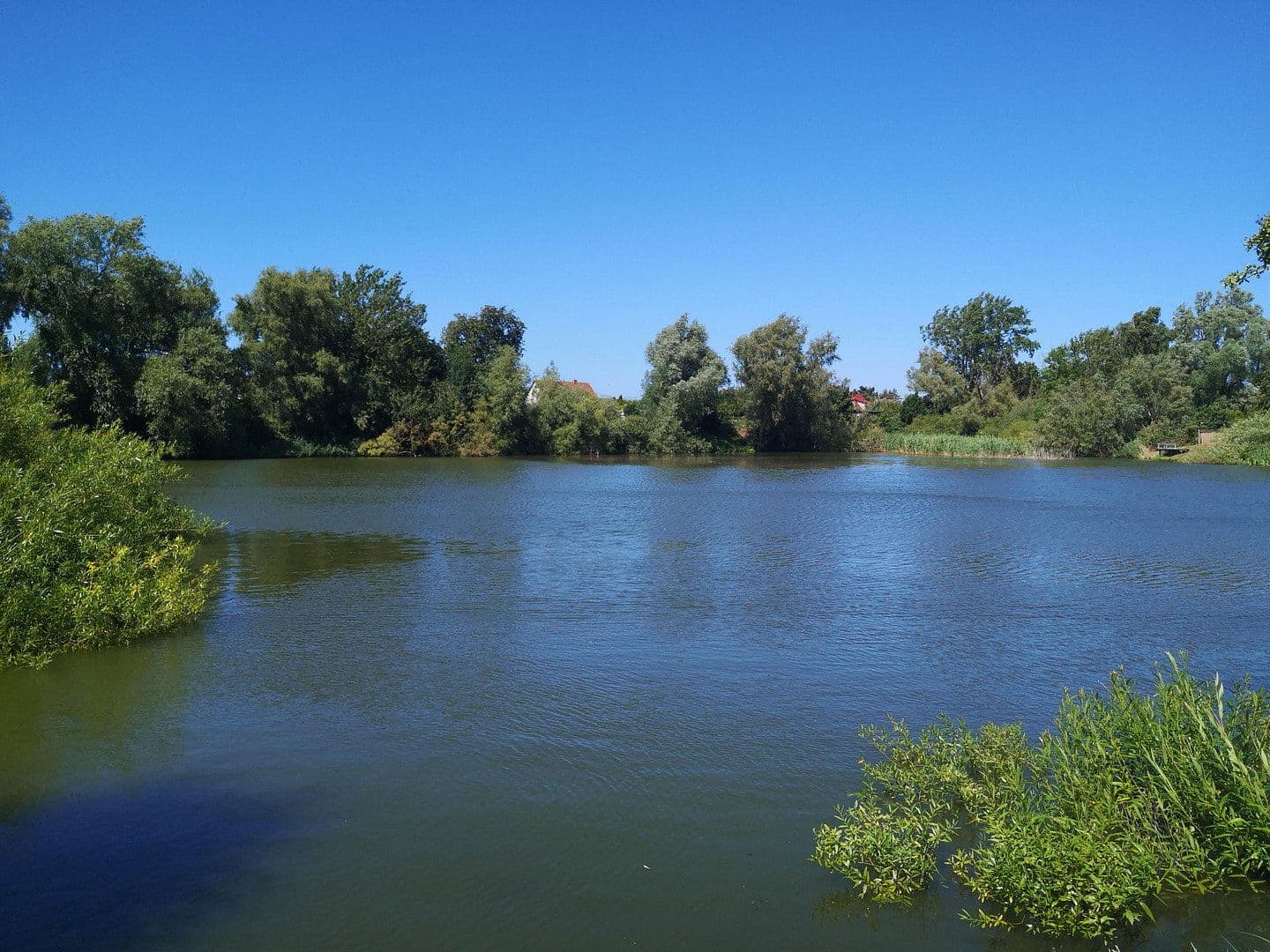 Predaj domu 200 m², pozemek 753 m², Saal, Meklenbursko-Predpomoransko Predaj domu 200 m², pozemek 753 m², Saal, Meklenbursko-Predpomoransko