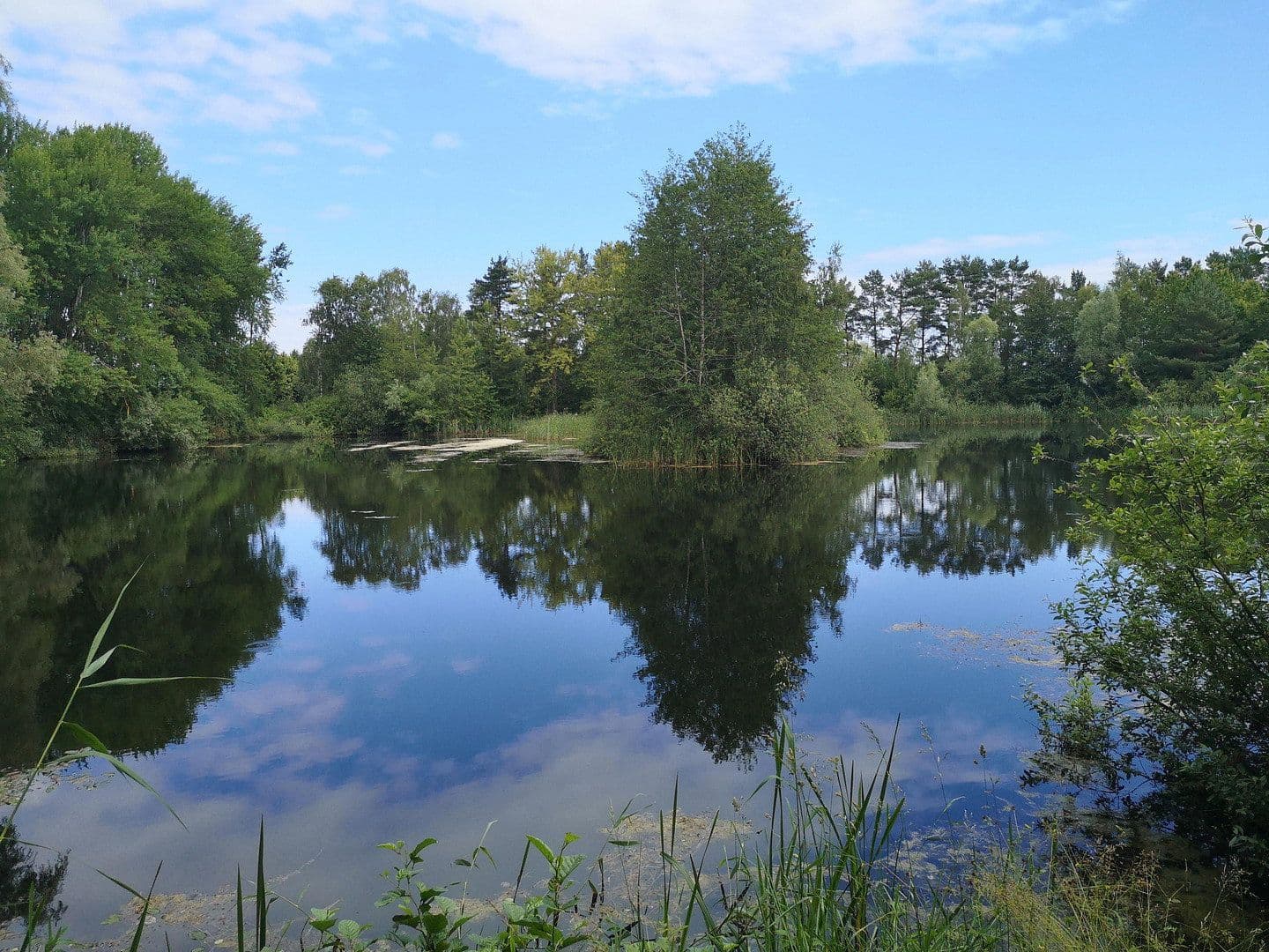 Predaj domu 200 m², pozemek 753 m², Saal, Meklenbursko-Predpomoransko Predaj domu 200 m², pozemek 753 m², Saal, Meklenbursko-Predpomoransko