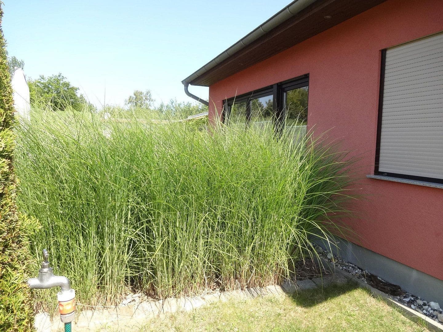 Predaj domu 53 m², pozemek 300 m², Seepferdchenweg 21, Loissin, Meklenbursko-Predpomoransko Predaj domu 53 m², pozemek 300 m², Seepferdchenweg 21, Loissin, Meklenbursko-Predpomoransko