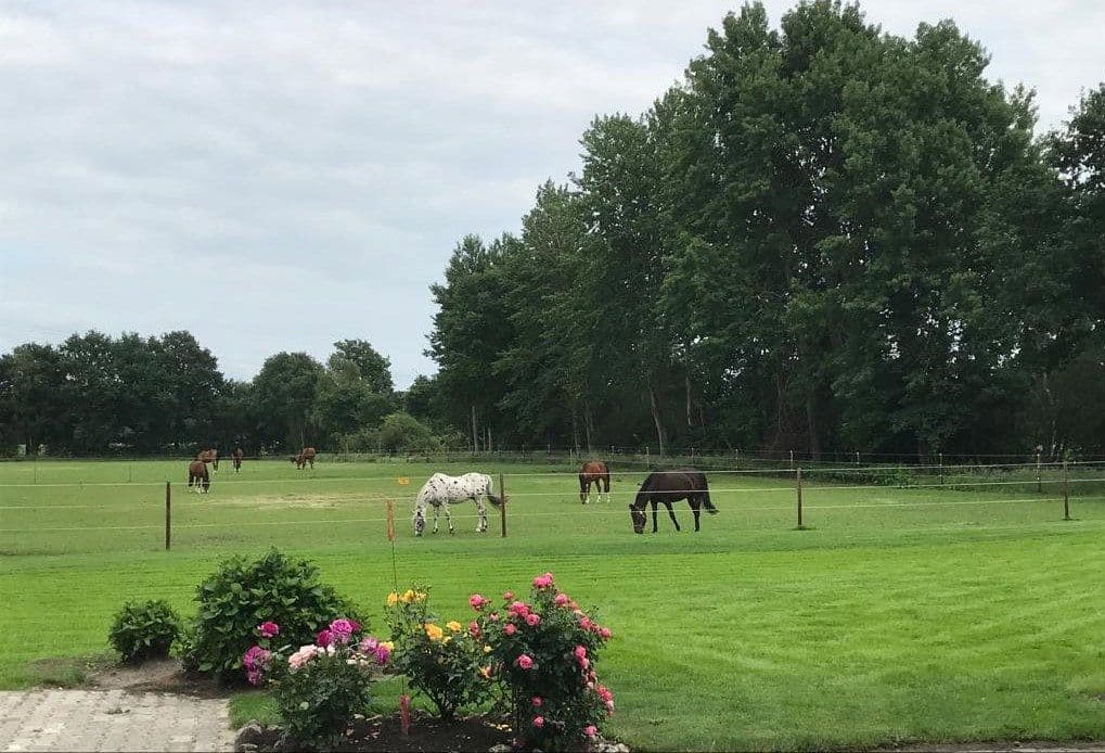 Prenájom bytu 1-izbový 37 m², Neulehe, Dolné Sasko Prenájom bytu 1-izbový 37 m², Neulehe, Dolné Sasko