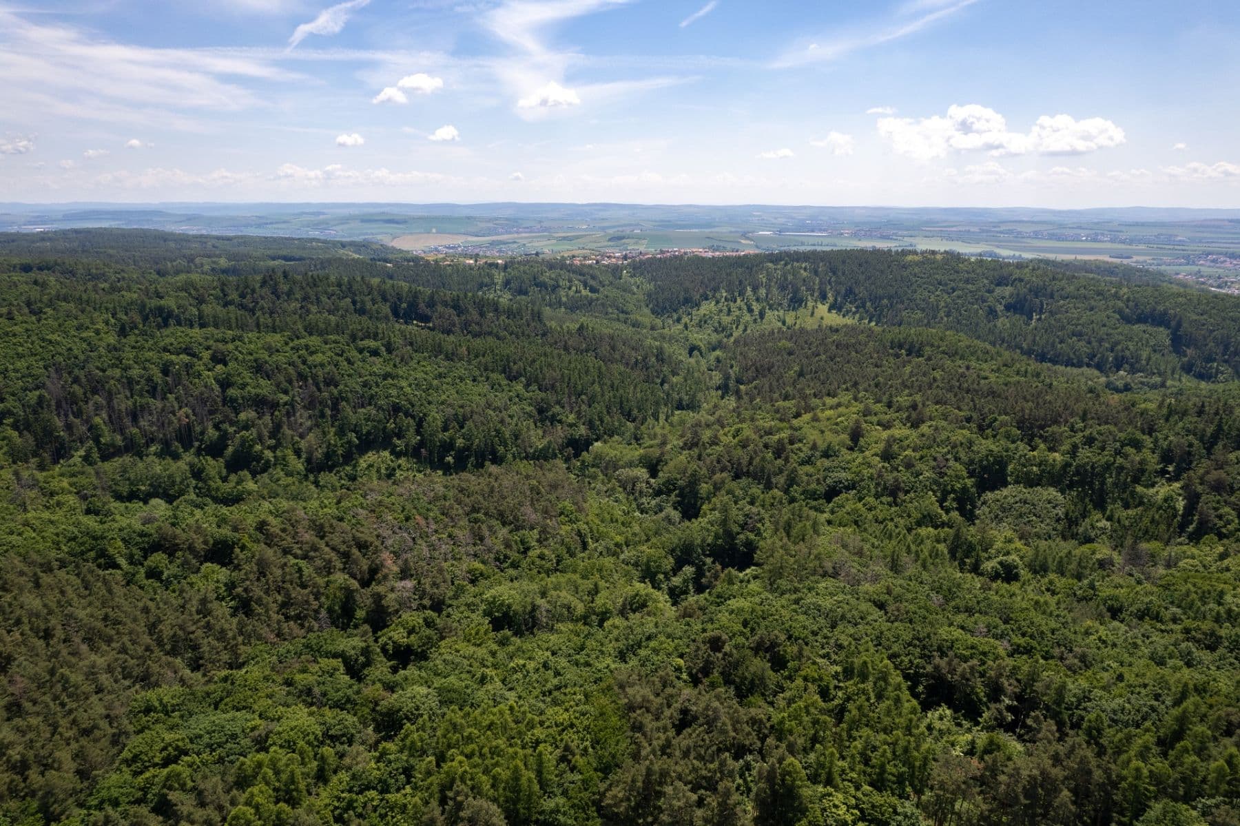 Predaj pozemku 3.101 m², Hostěnice, Jihomoravský kraj Predaj pozemku 3.101 m², Hostěnice, Jihomoravský kraj