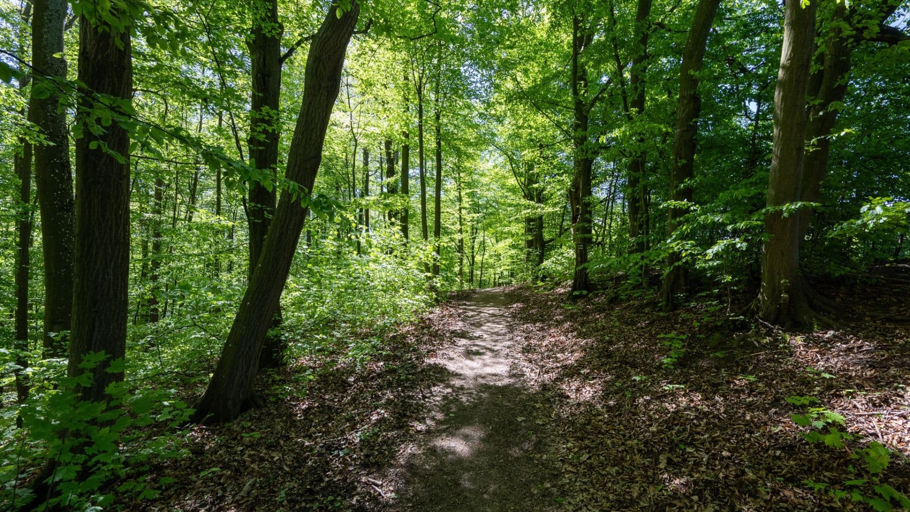 Predaj pozemku 3.101 m², Hostěnice, Jihomoravský kraj Predaj pozemku 3.101 m², Hostěnice, Jihomoravský kraj