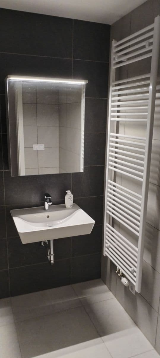 Prenájom bytu 2-izbový 48 m², Spolková, Brno, Jihomoravský kraj Prenájom bytu 2-izbový 48 m², Spolková, Brno, Jihomoravský kraj