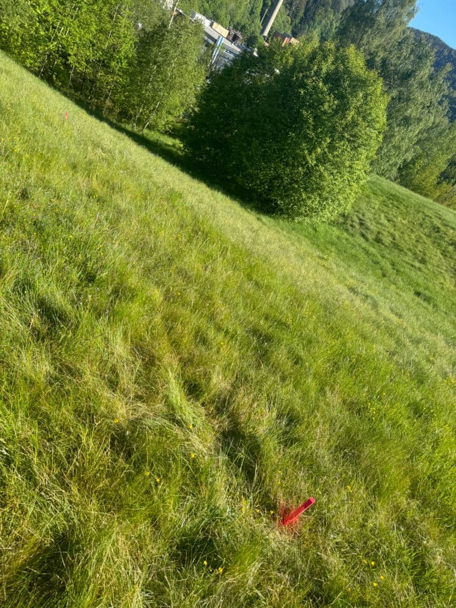 Predaj domu 140 m², pozemek 2.377 m², Pustinská, Desná, Liberecký kraj Predaj domu 140 m², pozemek 2.377 m², Pustinská, Desná, Liberecký kraj