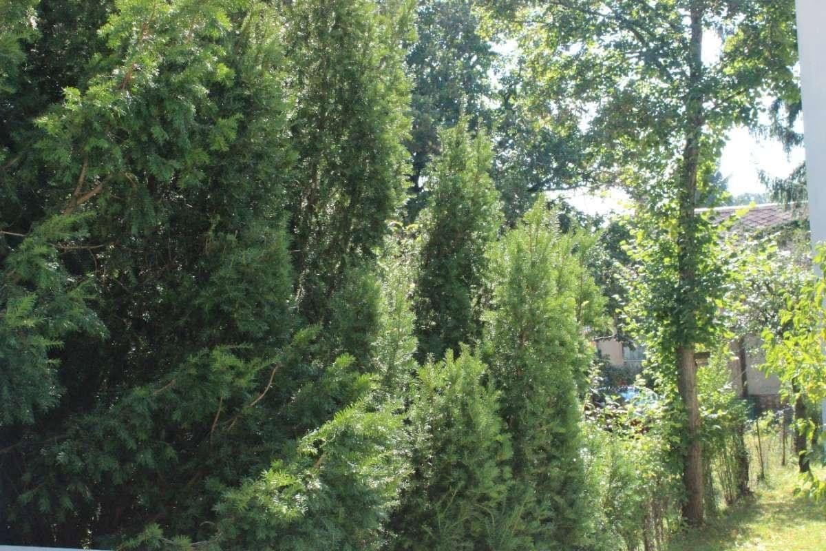 Predaj bytu 4-izbový 110 m², Leitengasse, Wien, Viedeň Predaj bytu 4-izbový 110 m², Leitengasse, Wien, Viedeň