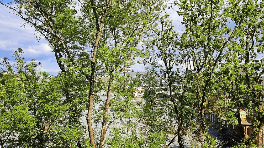 Prenájom bytu 2-izbový 67 m², Frölingstraße 5c, Bad Homburg vor der Höhe, Hesensko Prenájom bytu 2-izbový 67 m², Frölingstraße 5c, Bad Homburg vor der Höhe, Hesensko