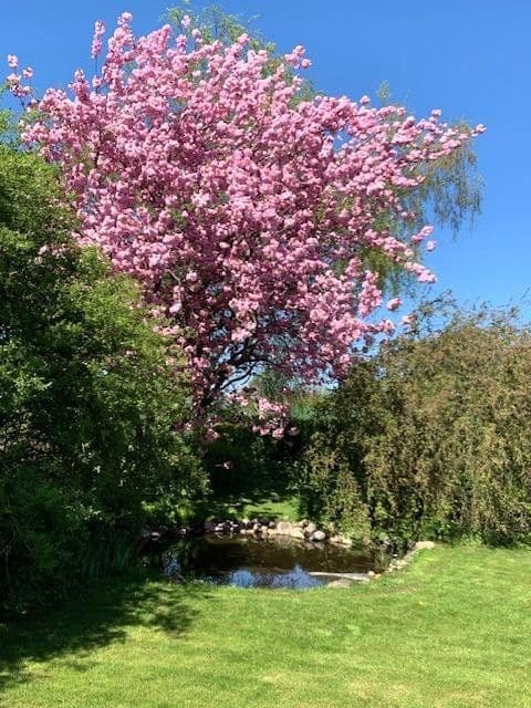 Predaj domu 186 m², pozemek 1.529 m², Ottendorf, Šlezvicko-Holštajnsko Predaj domu 186 m², pozemek 1.529 m², Ottendorf, Šlezvicko-Holštajnsko