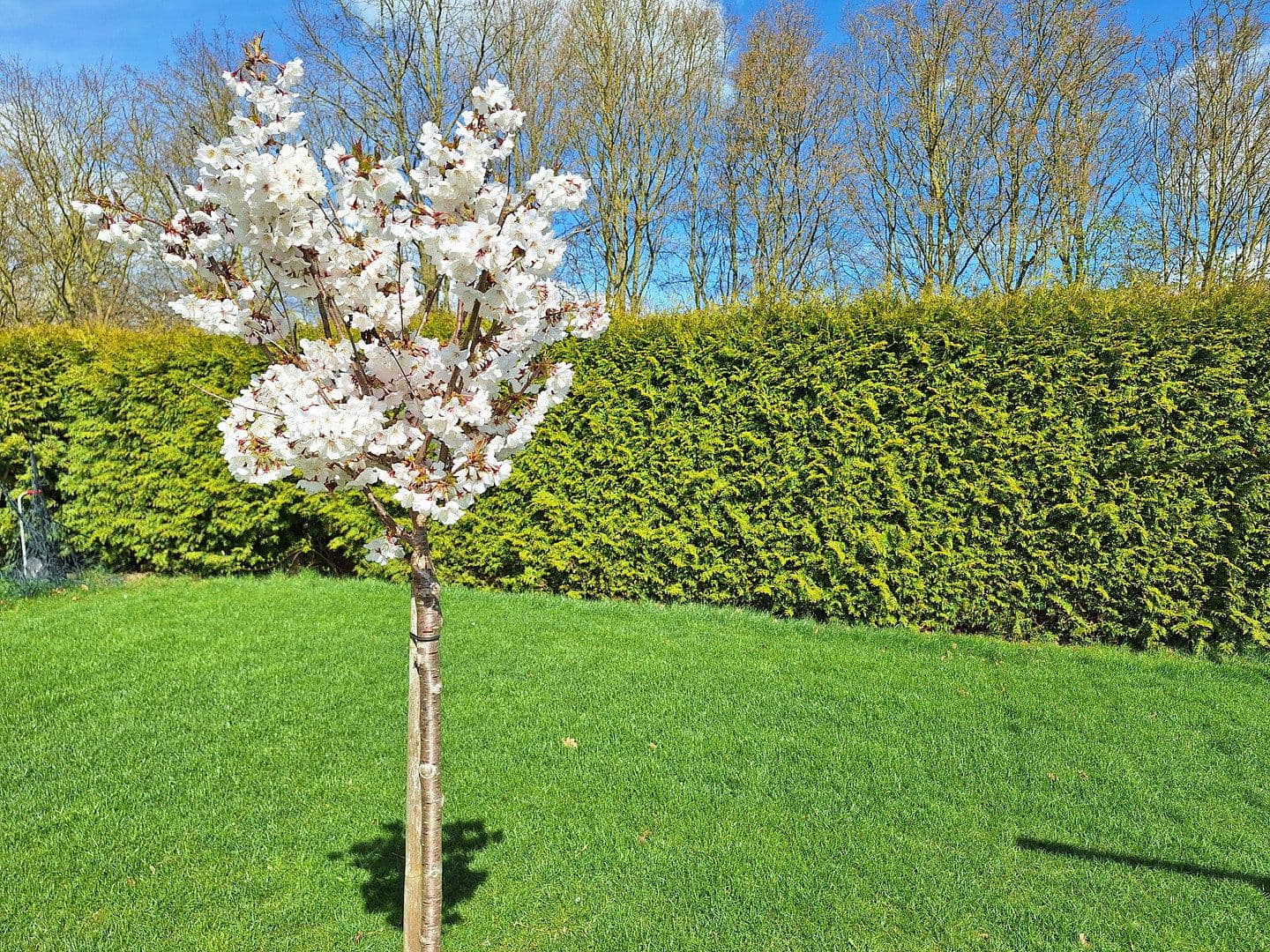 Predaj domu 284 m², pozemek 943 m², Dersum, Dolné Sasko Predaj domu 284 m², pozemek 943 m², Dersum, Dolné Sasko