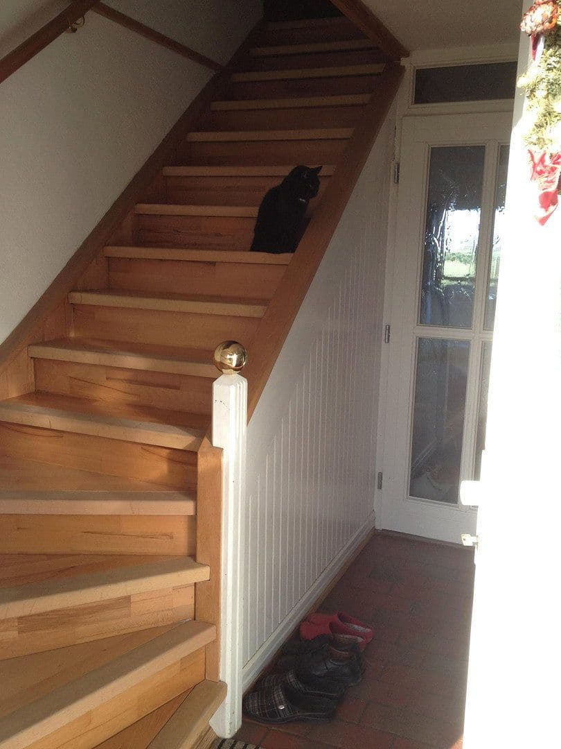 Predaj domu 500 m², pozemek 3.900 m², Penzlin, Meklenbursko-Predpomoransko Predaj domu 500 m², pozemek 3.900 m², Penzlin, Meklenbursko-Predpomoransko