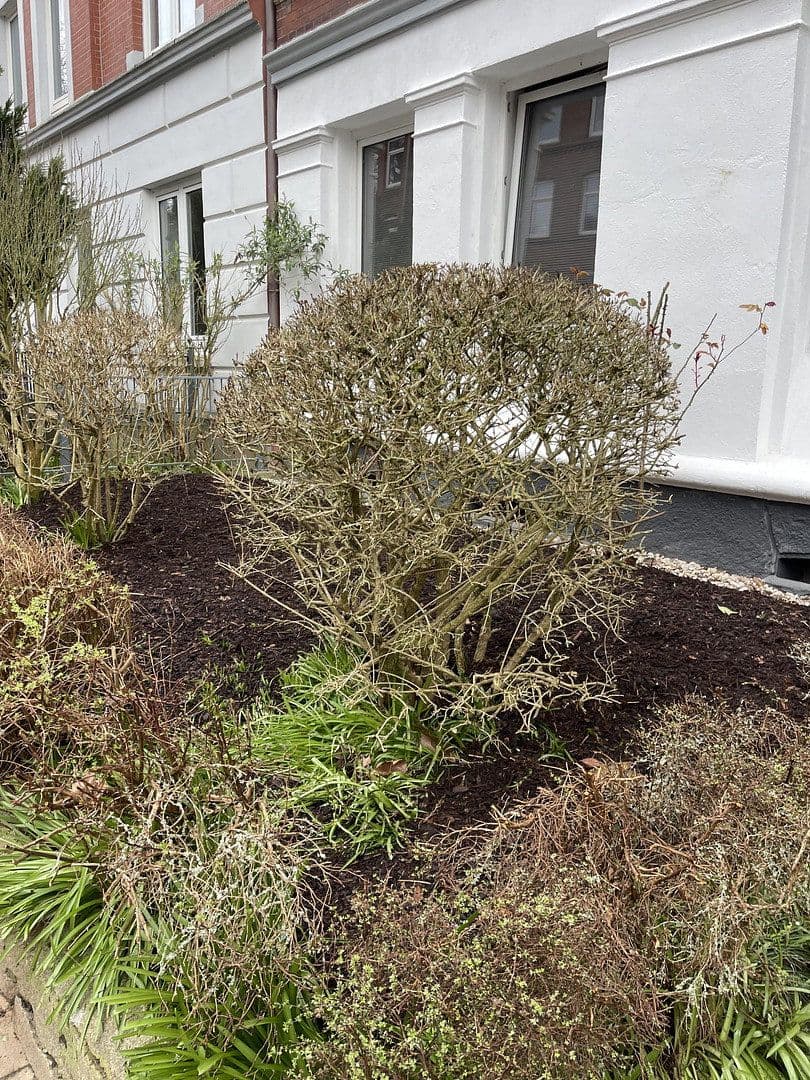 Prenájom bytu 4-izbový 95 m², Fockstrasse 26, Kiel, Šlezvicko-Holštajnsko Prenájom bytu 4-izbový 95 m², Fockstrasse 26, Kiel, Šlezvicko-Holštajnsko