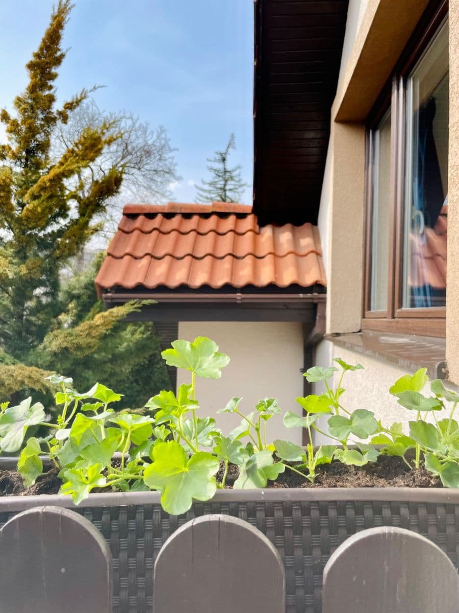 Prenájom domu 45 m², pozemek 15 m², Šulekova, Bratislava - mestská časť Staré Mesto, Bratislavský kraj Prenájom domu 45 m², pozemek 15 m², Šulekova, Bratislava - mestská časť Staré Mesto, Bratislavský kraj