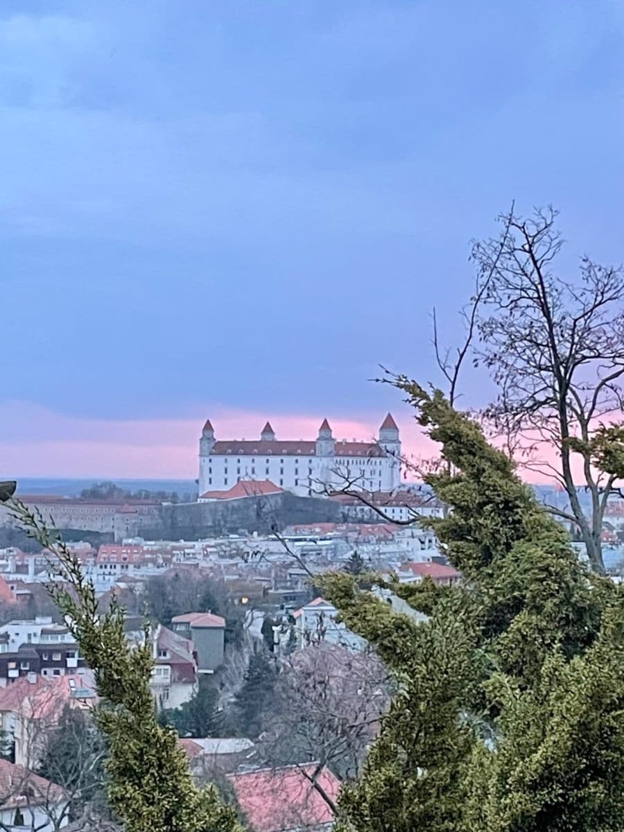 Prenájom domu 45 m², pozemek 15 m², Šulekova, Bratislava - mestská časť Staré Mesto, Bratislavský kraj Prenájom domu 45 m², pozemek 15 m², Šulekova, Bratislava - mestská časť Staré Mesto, Bratislavský kraj