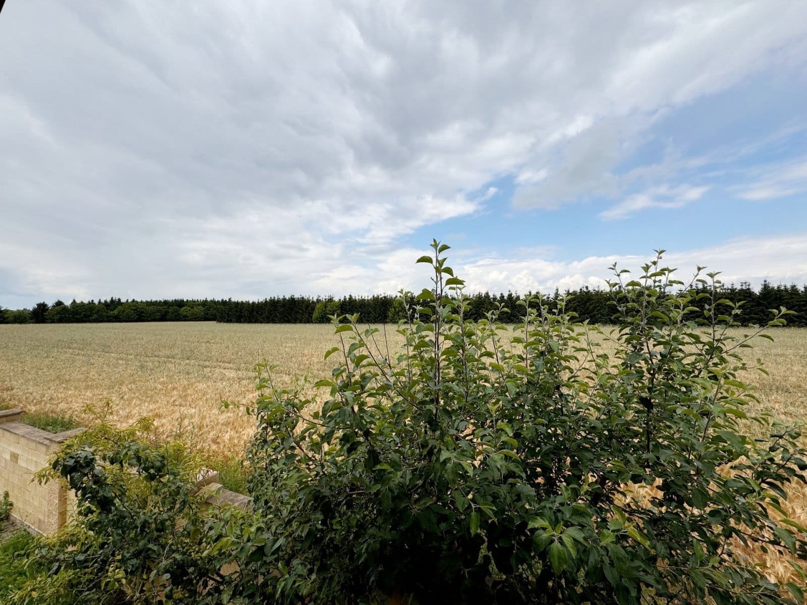 Prenájom bytu 3-izbový 119 m², Žitná, Šestajovice, Středočeský kraj Prenájom bytu 3-izbový 119 m², Žitná, Šestajovice, Středočeský kraj