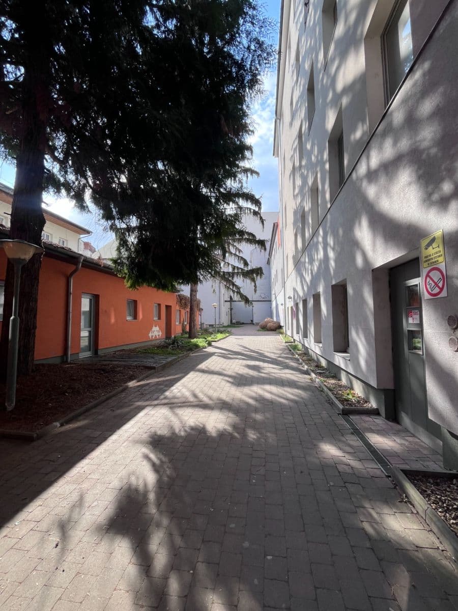 Prenájom bytu 1-izbový 22 m², Cejl, Brno, Jihomoravský kraj Prenájom bytu 1-izbový 22 m², Cejl, Brno, Jihomoravský kraj