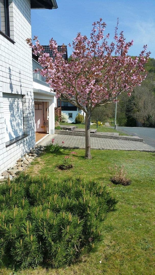 Predaj domu 283 m², pozemek 875 m², Mengerskirchen, Hesensko Predaj domu 283 m², pozemek 875 m², Mengerskirchen, Hesensko