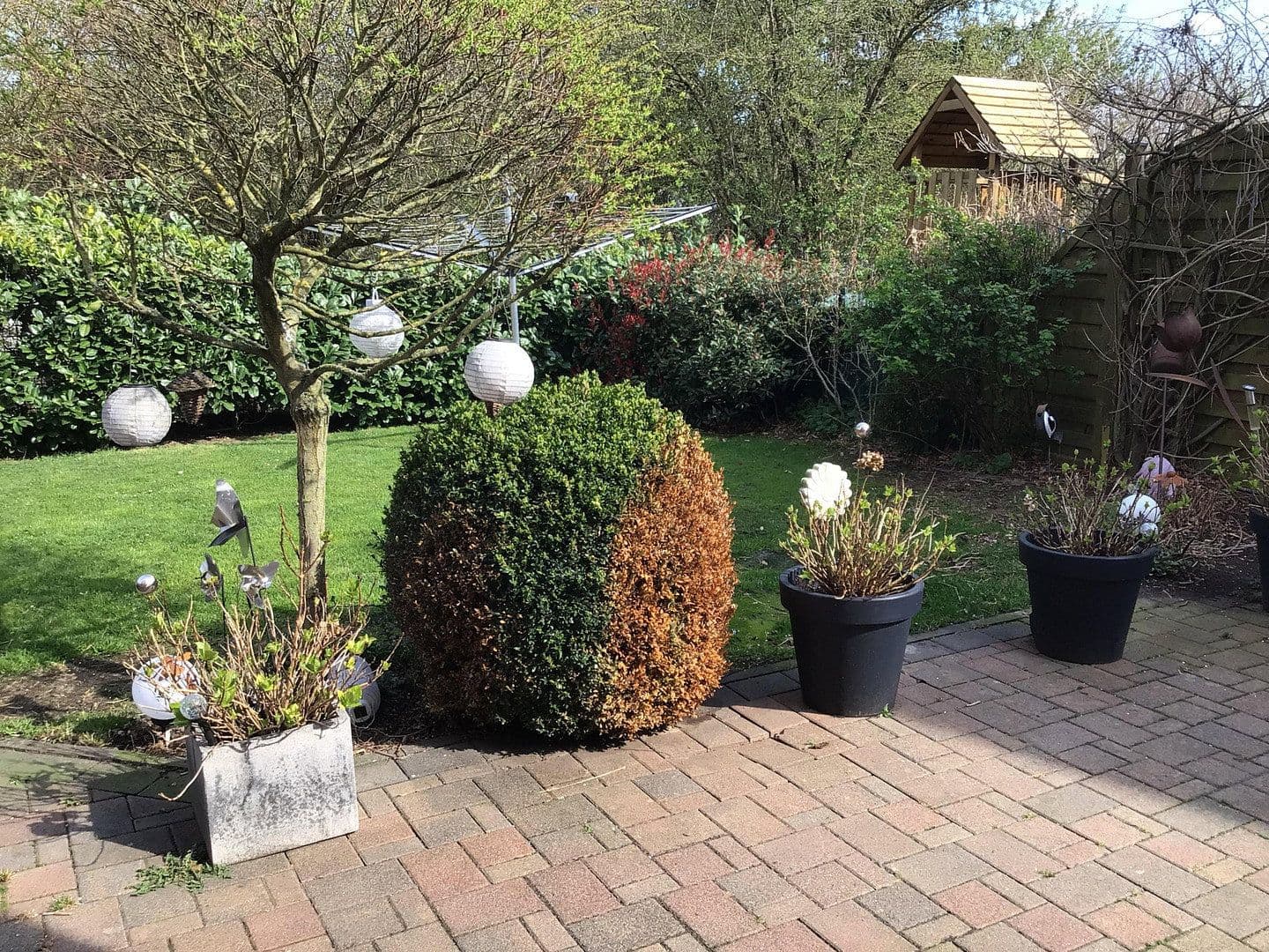 Predaj domu 126 m², pozemek 384 m², Im Ginsterfeld 19, Mechernich, Severné Porýnie - Westfálsko Predaj domu 126 m², pozemek 384 m², Im Ginsterfeld 19, Mechernich, Severné Porýnie - Westfálsko