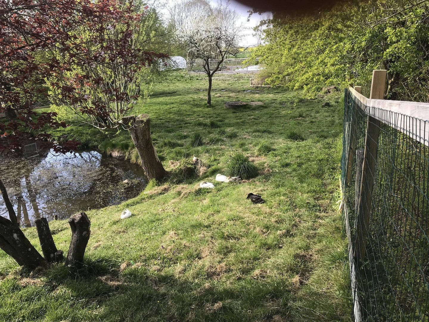 Predaj domu 460 m², pozemek 43.000 m², Wangels, Šlezvicko-Holštajnsko Predaj domu 460 m², pozemek 43.000 m², Wangels, Šlezvicko-Holštajnsko