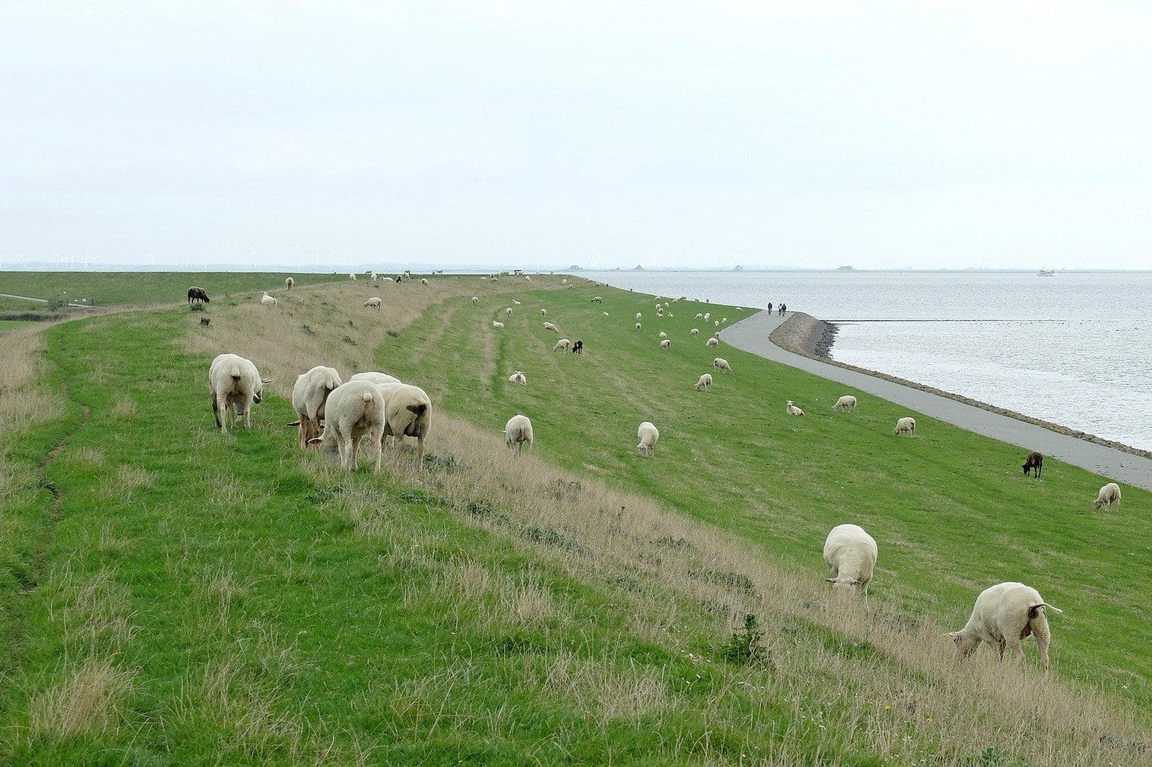 Predaj domu 130 m², pozemek 1.100 m², Pellworm, Šlezvicko-Holštajnsko Predaj domu 130 m², pozemek 1.100 m², Pellworm, Šlezvicko-Holštajnsko