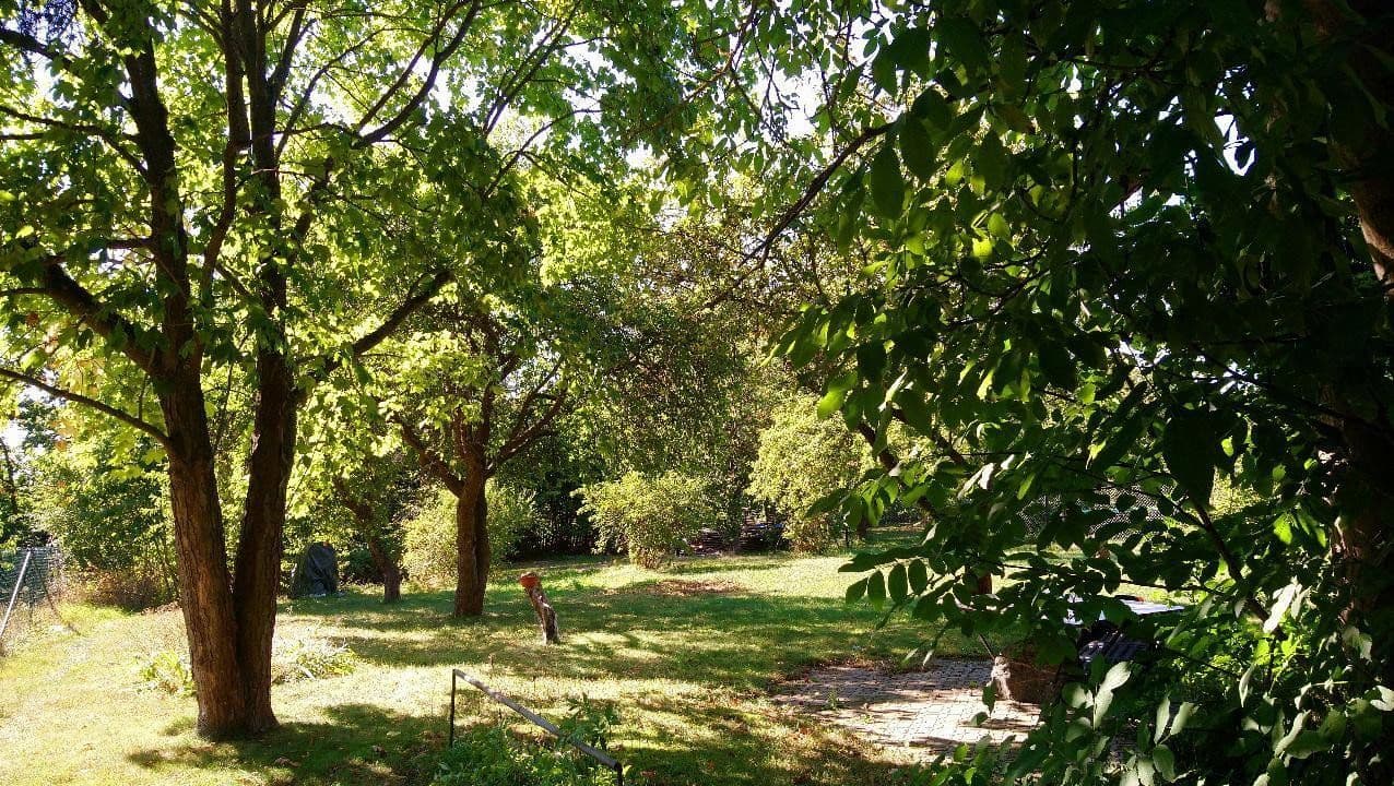 Predaj domu 120 m², pozemek 2.000 m², Zeulenroda-Triebes, Durínsko Predaj domu 120 m², pozemek 2.000 m², Zeulenroda-Triebes, Durínsko