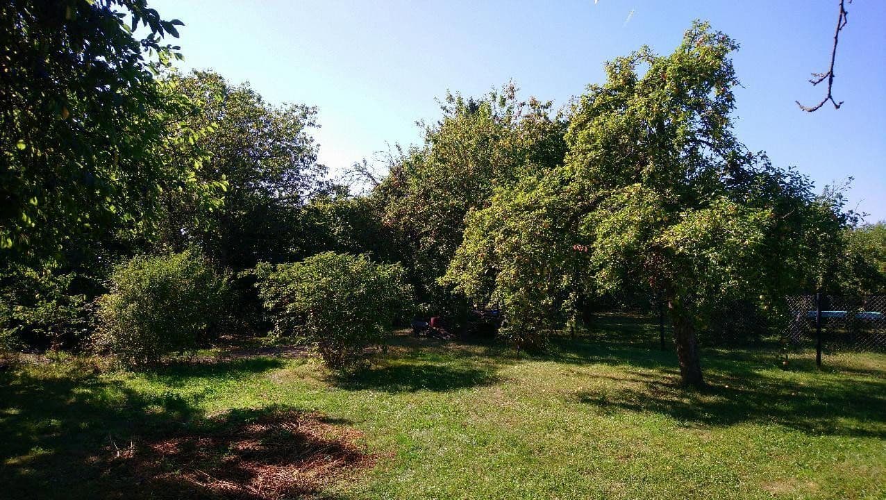 Predaj domu 120 m², pozemek 2.000 m², Zeulenroda-Triebes, Durínsko Predaj domu 120 m², pozemek 2.000 m², Zeulenroda-Triebes, Durínsko