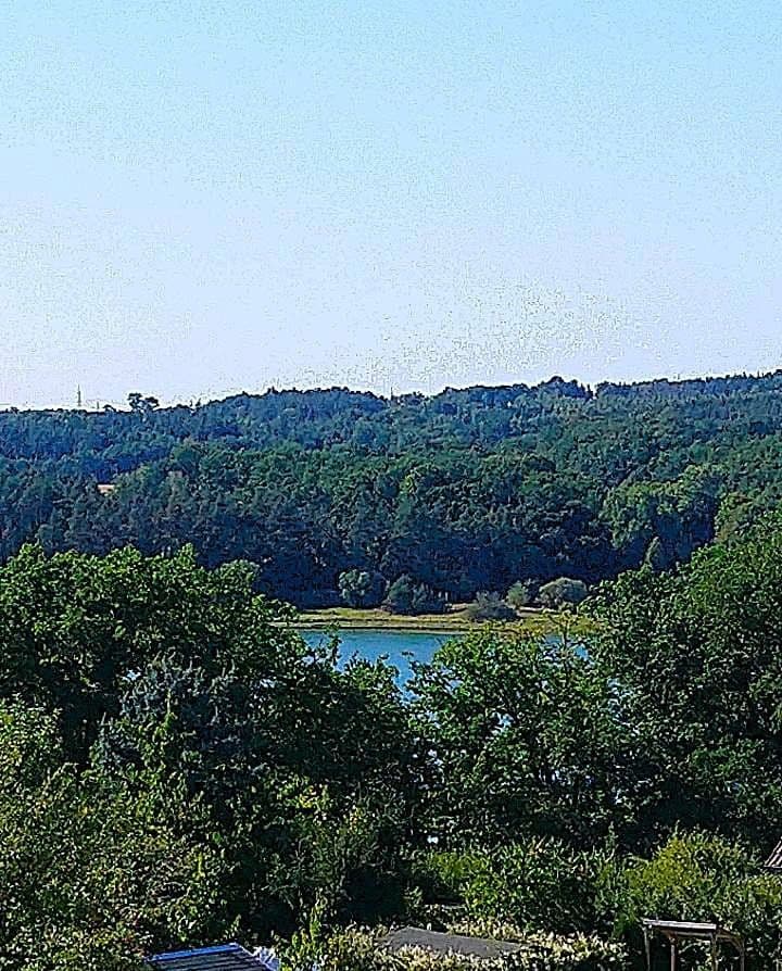 Predaj domu 120 m², pozemek 2.000 m², Zeulenroda-Triebes, Durínsko Predaj domu 120 m², pozemek 2.000 m², Zeulenroda-Triebes, Durínsko