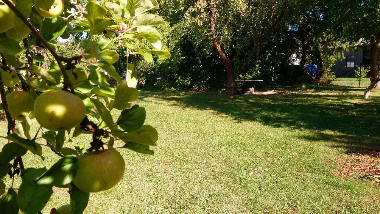 Predaj domu 120 m², pozemek 2.000 m², Zeulenroda-Triebes, Durínsko Predaj domu 120 m², pozemek 2.000 m², Zeulenroda-Triebes, Durínsko