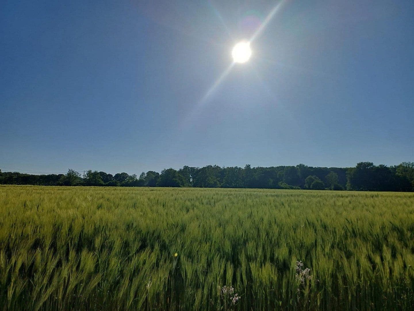 Predaj domu 390 m², pozemek 40.000 m², Münster Wolbeck, Severné Porýnie - Westfálsko Predaj domu 390 m², pozemek 40.000 m², Münster Wolbeck, Severné Porýnie - Westfálsko