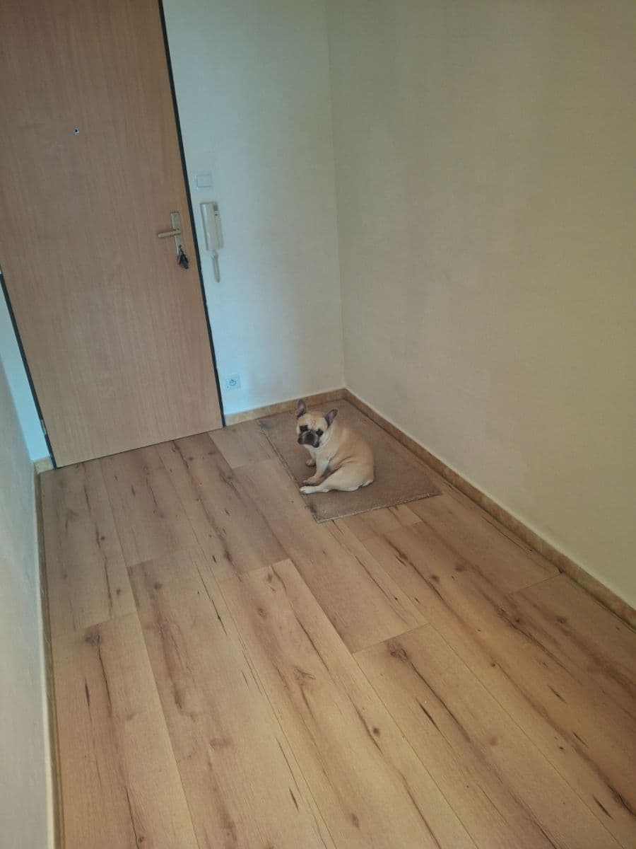 Prenájom bytu 2-izbový 48 m², Werichova, Praha, Praha Prenájom bytu 2-izbový 48 m², Werichova, Praha, Praha