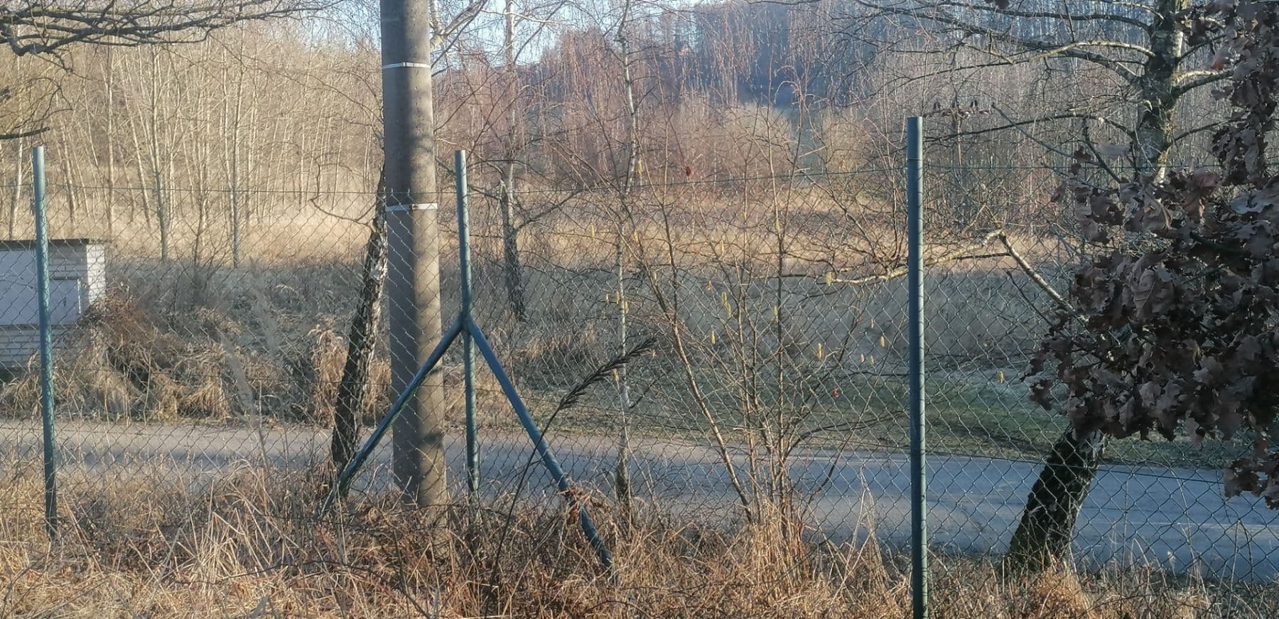 Predaj pozemku 1.769 m², Seč, Pardubický kraj Predaj pozemku 1.769 m², Seč, Pardubický kraj