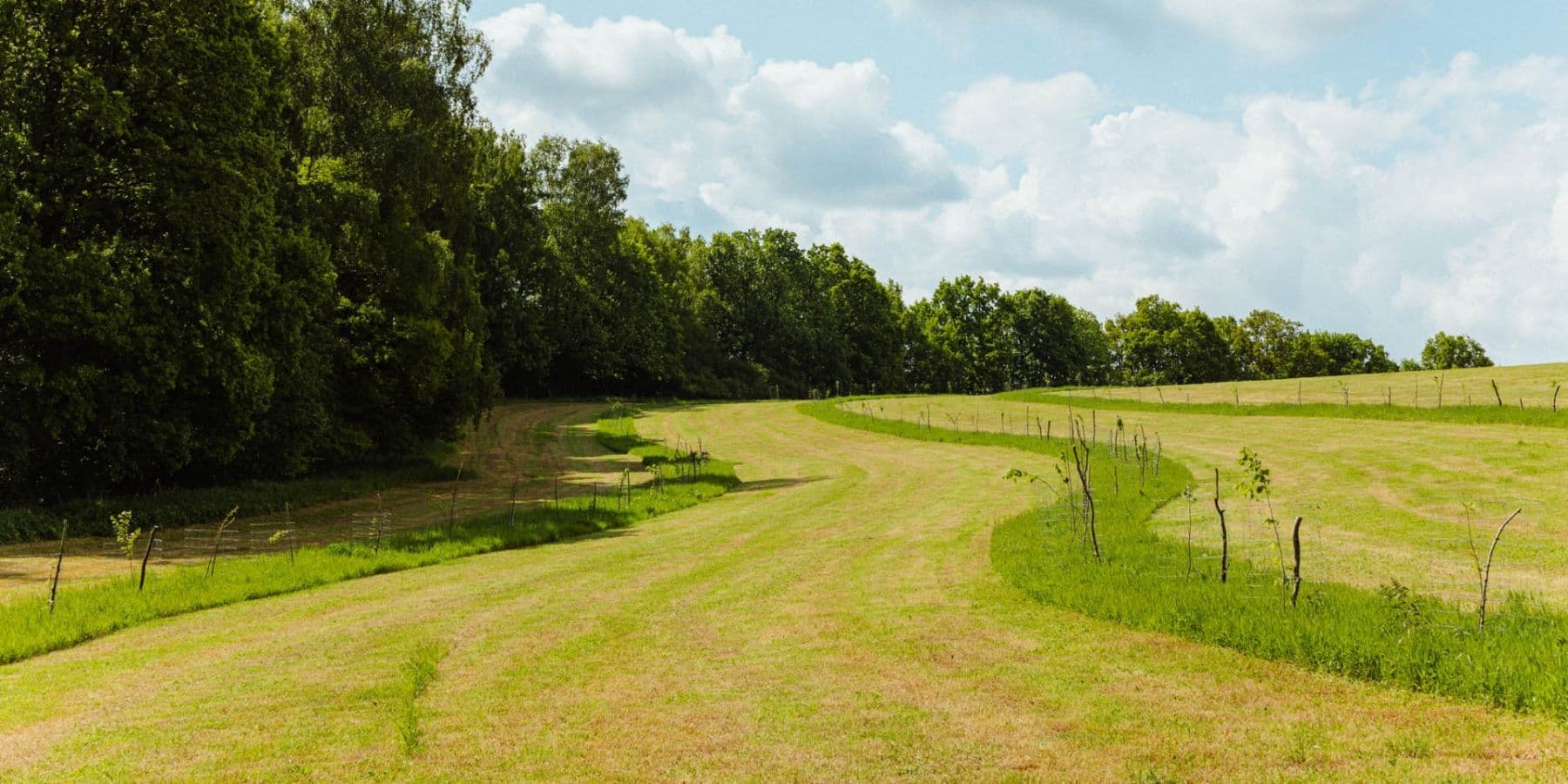 Predaj pozemku 126.783 m², Žirov, Kraj Vysočina Predaj pozemku 126.783 m², Žirov, Kraj Vysočina