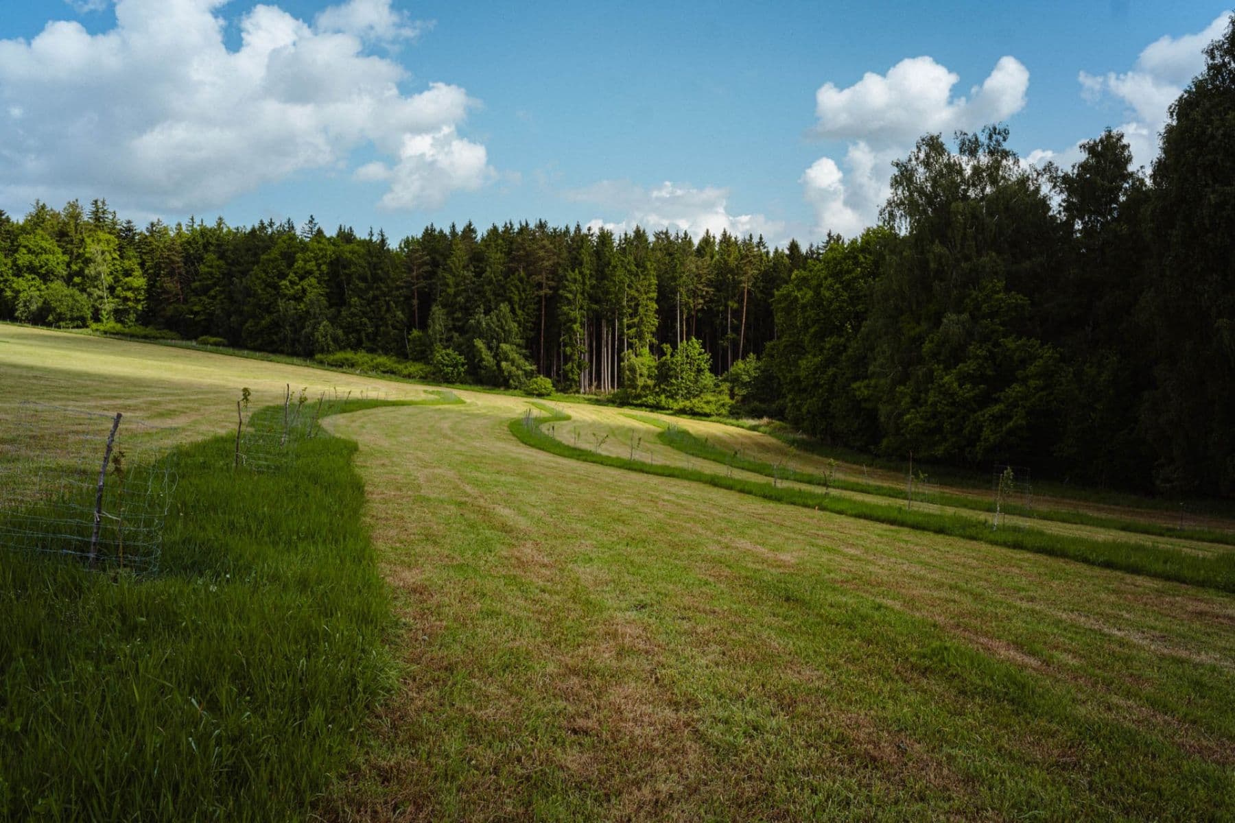Predaj pozemku 126.783 m², Žirov, Kraj Vysočina Predaj pozemku 126.783 m², Žirov, Kraj Vysočina
