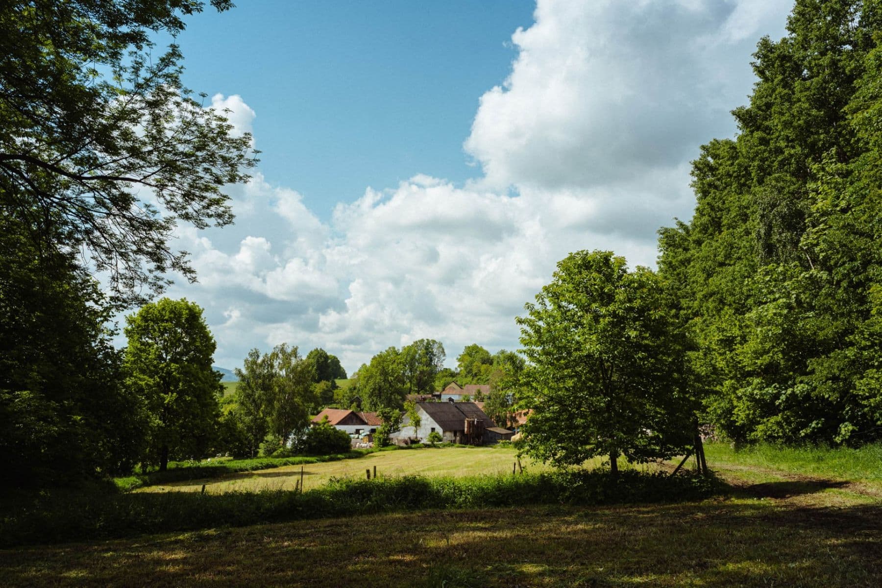 Predaj pozemku 126.783 m², Žirov, Kraj Vysočina Predaj pozemku 126.783 m², Žirov, Kraj Vysočina