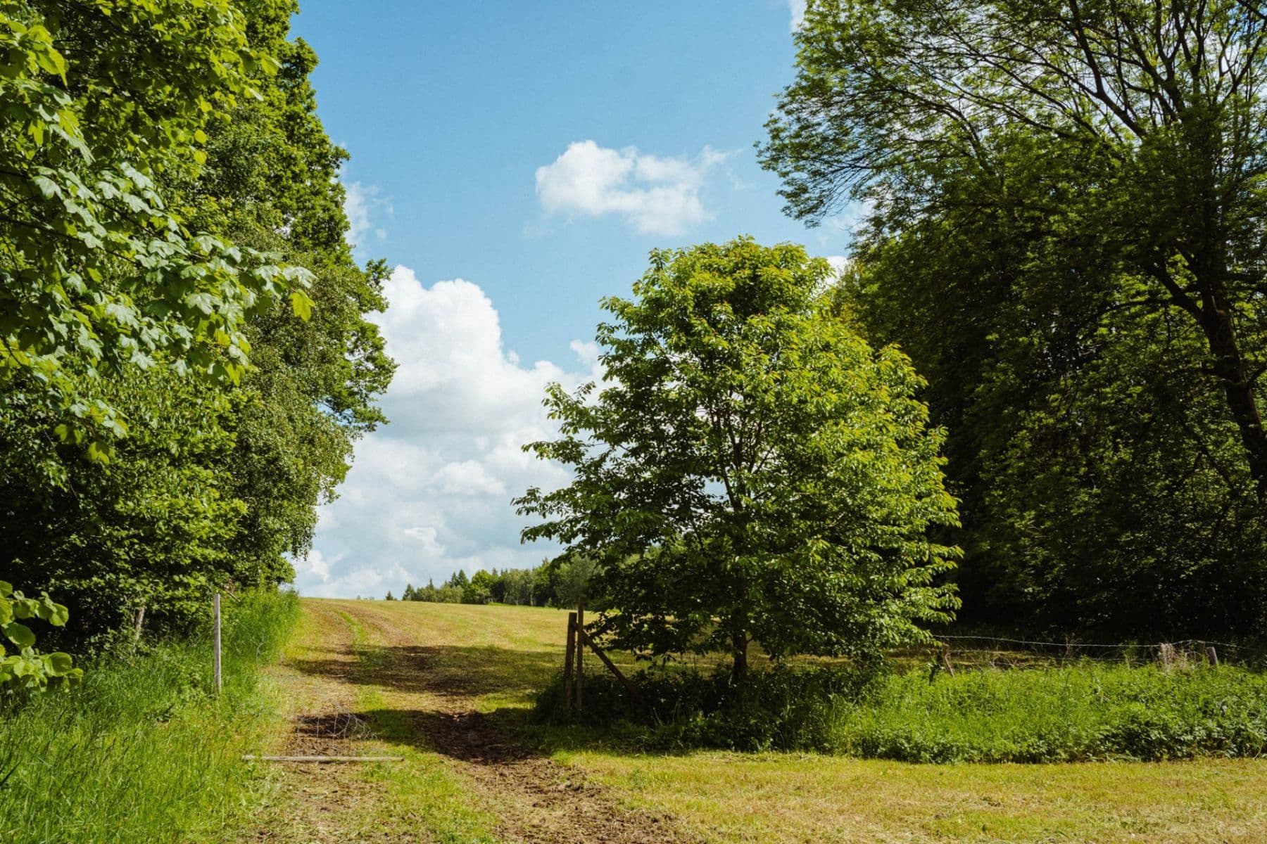 Predaj pozemku 126.783 m², Žirov, Kraj Vysočina Predaj pozemku 126.783 m², Žirov, Kraj Vysočina