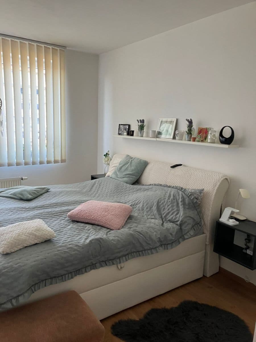 Prenájom bytu 3-izbový 70 m², Rižská, Praha, Praha Prenájom bytu 3-izbový 70 m², Rižská, Praha, Praha