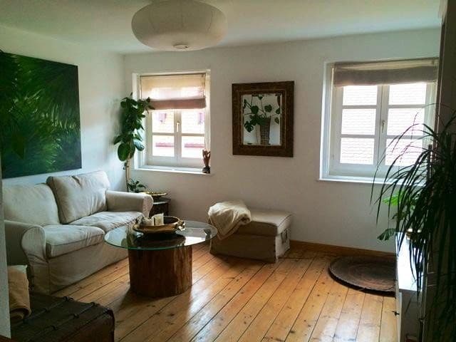 Predaj domu 202 m², pozemek 120 m², Herrngasse 370, Landshut, Bavorsko Predaj domu 202 m², pozemek 120 m², Herrngasse 370, Landshut, Bavorsko