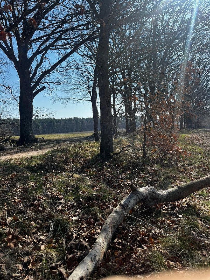 Predaj domu 120 m², pozemek 384 m², Lüneburg, Dolné Sasko Predaj domu 120 m², pozemek 384 m², Lüneburg, Dolné Sasko