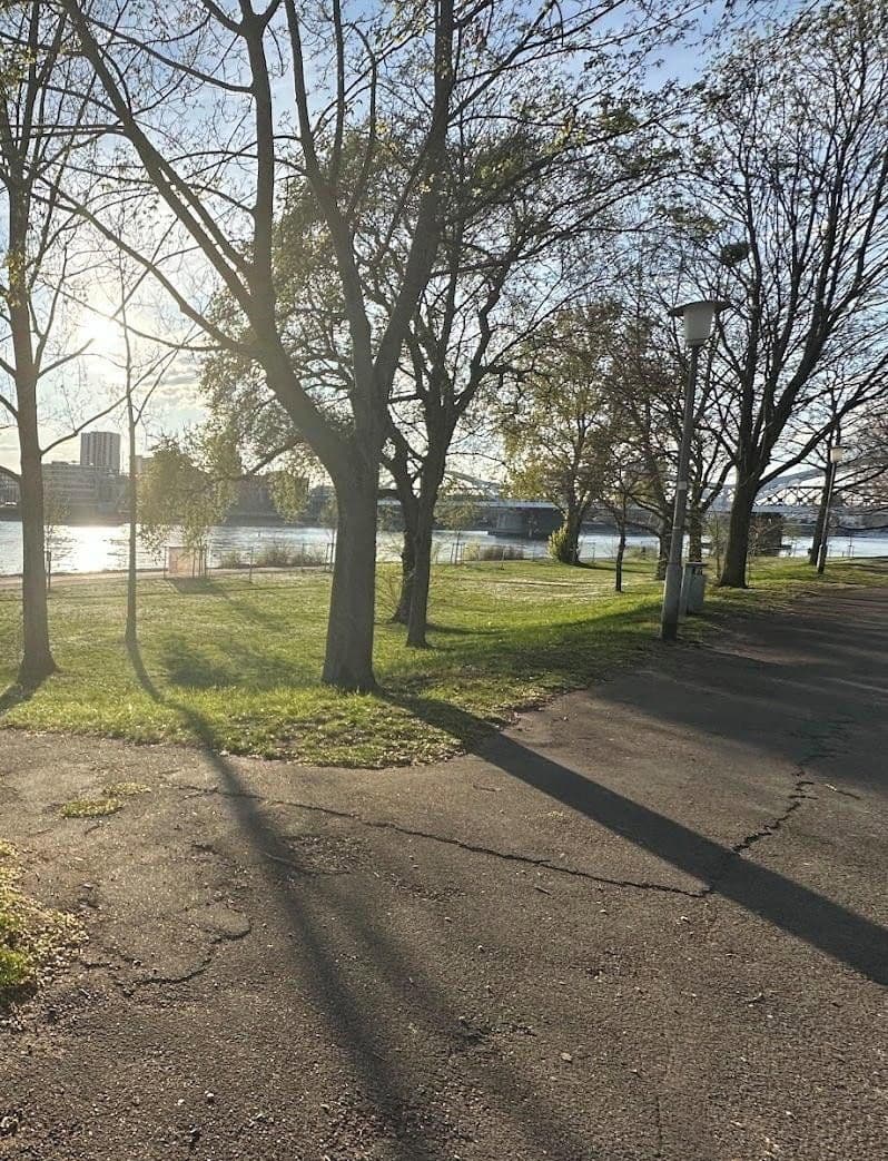 Predaj bytu 3-izbový 82 m², Mannheim OT Lindenhof, Bádensko-Wurttembersko Predaj bytu 3-izbový 82 m², Mannheim OT Lindenhof, Bádensko-Wurttembersko