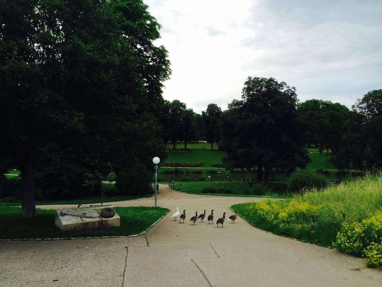 Prenájom bytu 3-izbový 85 m², Stuttgart, Bádensko-Wurttembersko Prenájom bytu 3-izbový 85 m², Stuttgart, Bádensko-Wurttembersko