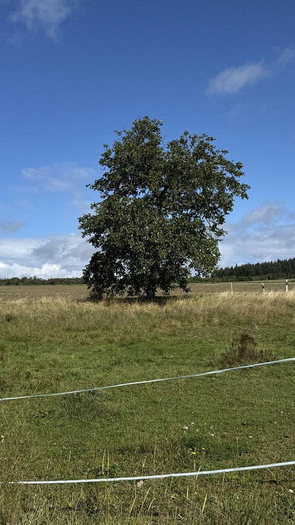 Predaj pozemku 789 m², Brunnenstraße 13, Weidenbach, Porýnie-Falcko Predaj pozemku 789 m², Brunnenstraße 13, Weidenbach, Porýnie-Falcko