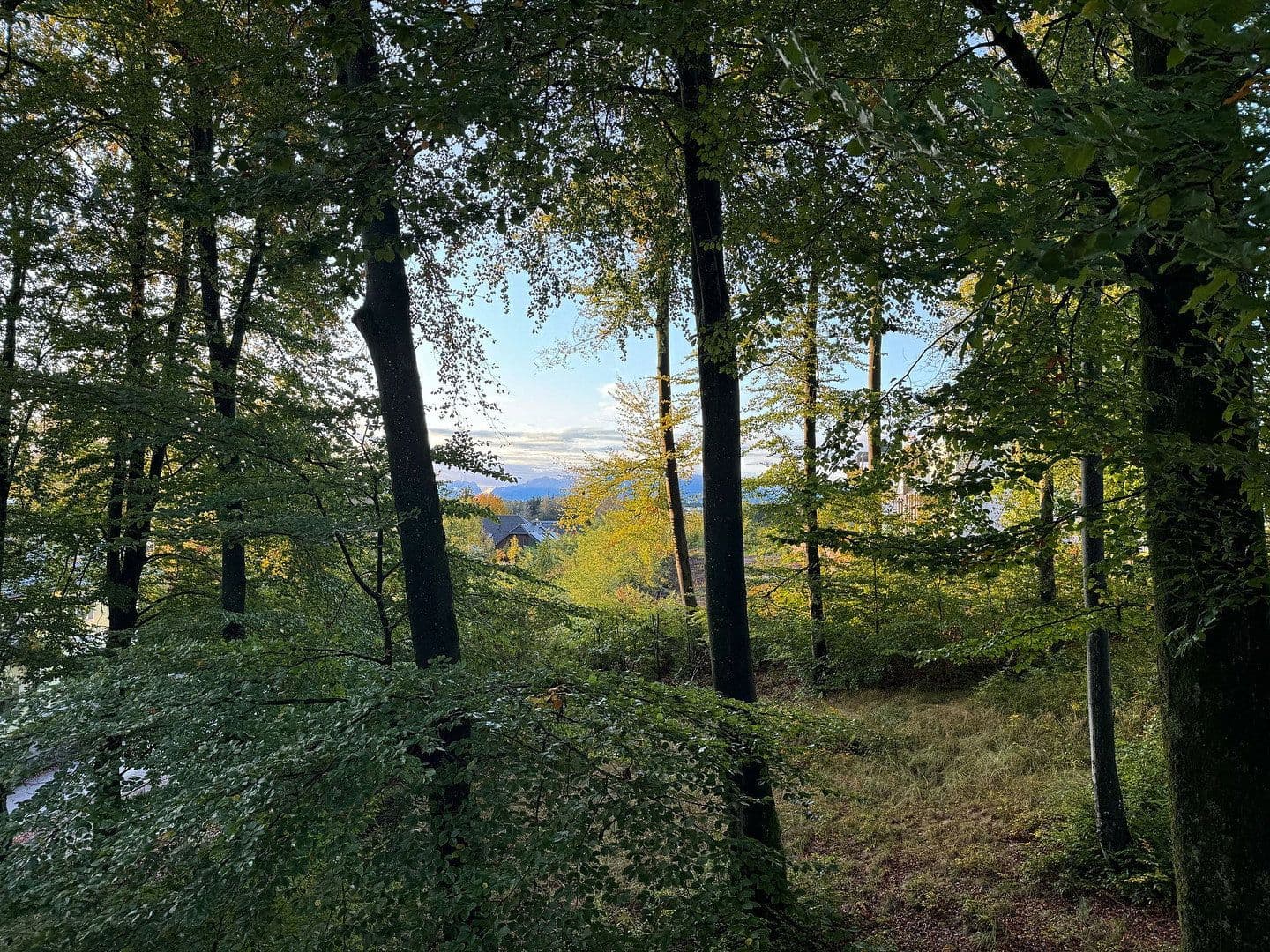 Prenájom bytu 2-izbový 57 m², Bürmoos, Salzbursko Prenájom bytu 2-izbový 57 m², Bürmoos, Salzbursko