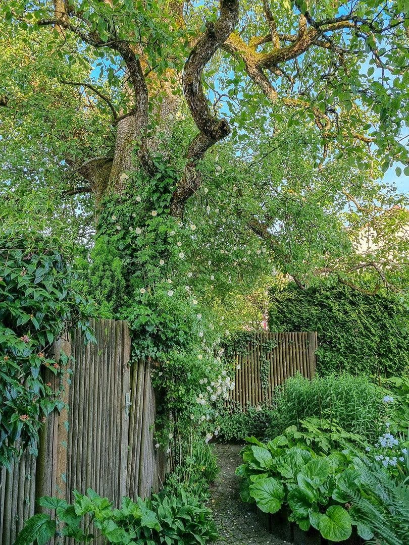 Predaj domu 215 m², pozemek 697 m², Böhmenkirch, Bádensko-Wurttembersko Predaj domu 215 m², pozemek 697 m², Böhmenkirch, Bádensko-Wurttembersko