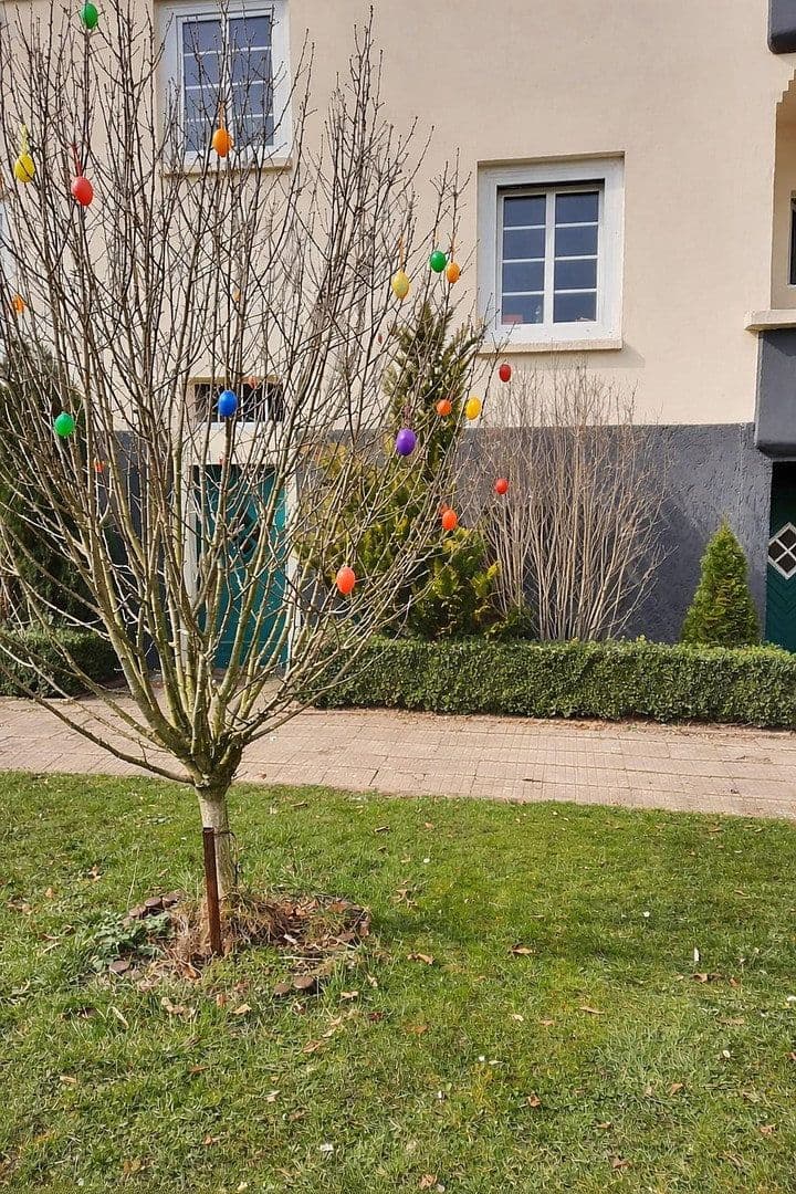 Prenájom bytu 4-izbový 96 m², Westring 31, Magdeburg, Sasko-Anhaltsko Prenájom bytu 4-izbový 96 m², Westring 31, Magdeburg, Sasko-Anhaltsko