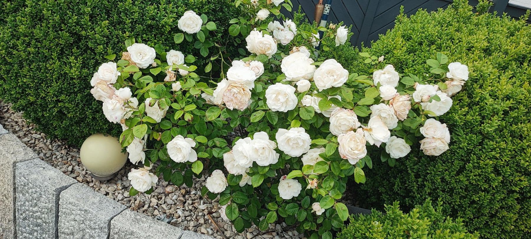 Predaj domu 340 m², pozemek 1.040 m², Schönberg (Holstein), Šlezvicko-Holštajnsko Predaj domu 340 m², pozemek 1.040 m², Schönberg (Holstein), Šlezvicko-Holštajnsko