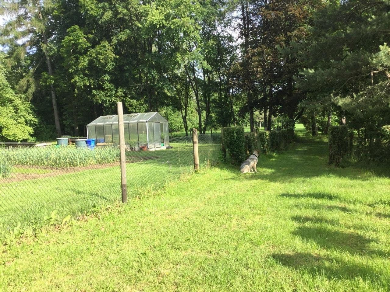 Predaj domu 400 m², pozemek 20.700 m², Gößweinstein, Bavorsko Predaj domu 400 m², pozemek 20.700 m², Gößweinstein, Bavorsko