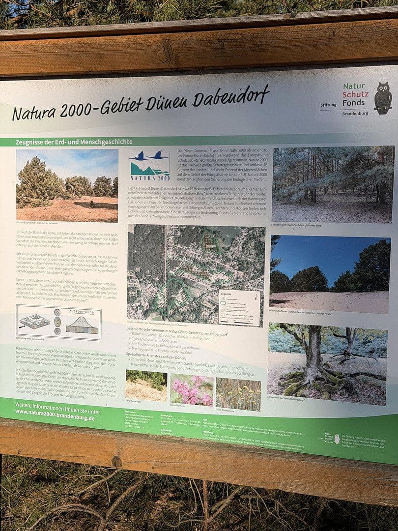 Predaj pozemku 1.088 m², An der Heide 31, Zossen, Brandenbursko Predaj pozemku 1.088 m², An der Heide 31, Zossen, Brandenbursko