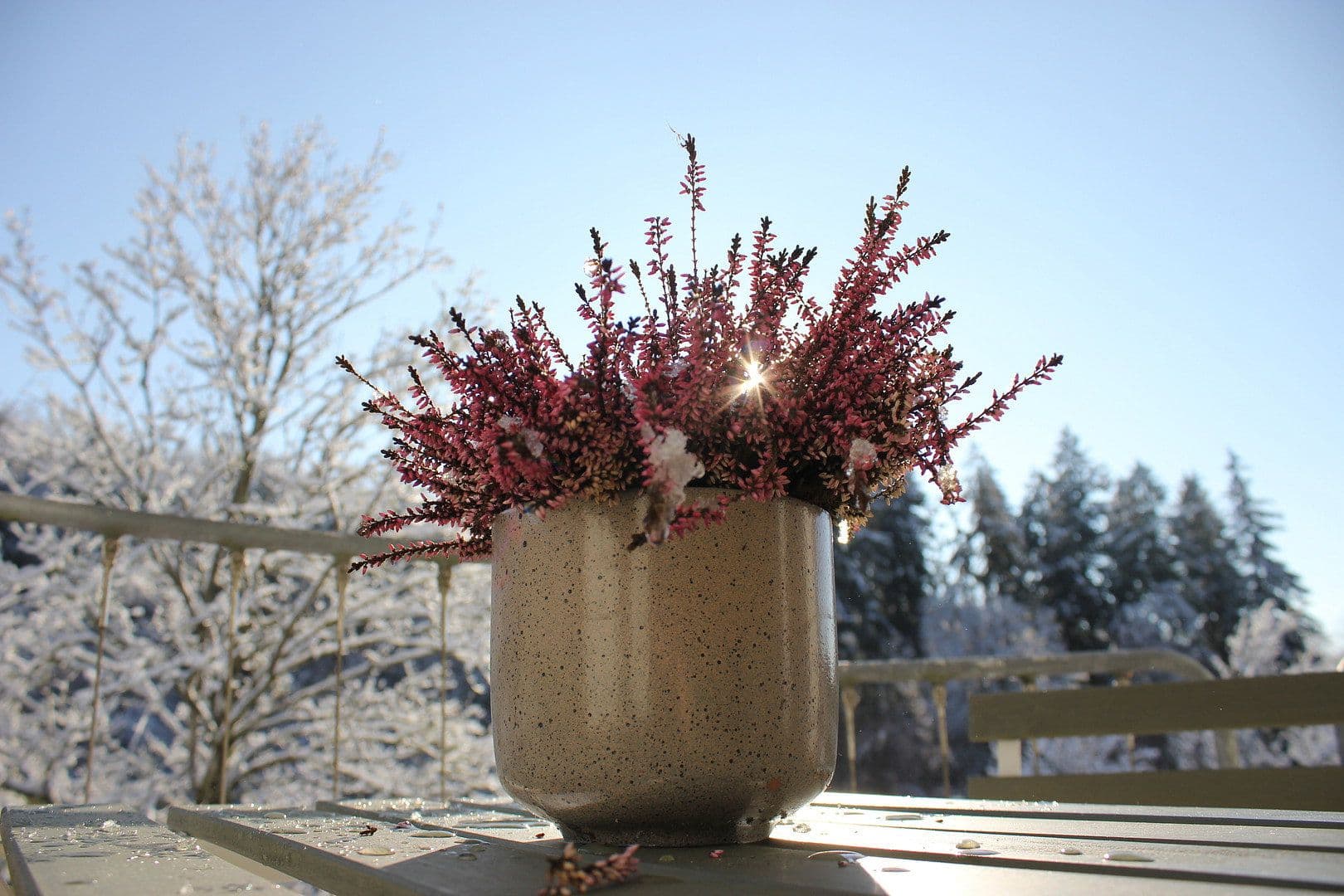 Prenájom bytu 2-izbový 45 m², Uhingen, Bádensko-Wurttembersko Prenájom bytu 2-izbový 45 m², Uhingen, Bádensko-Wurttembersko