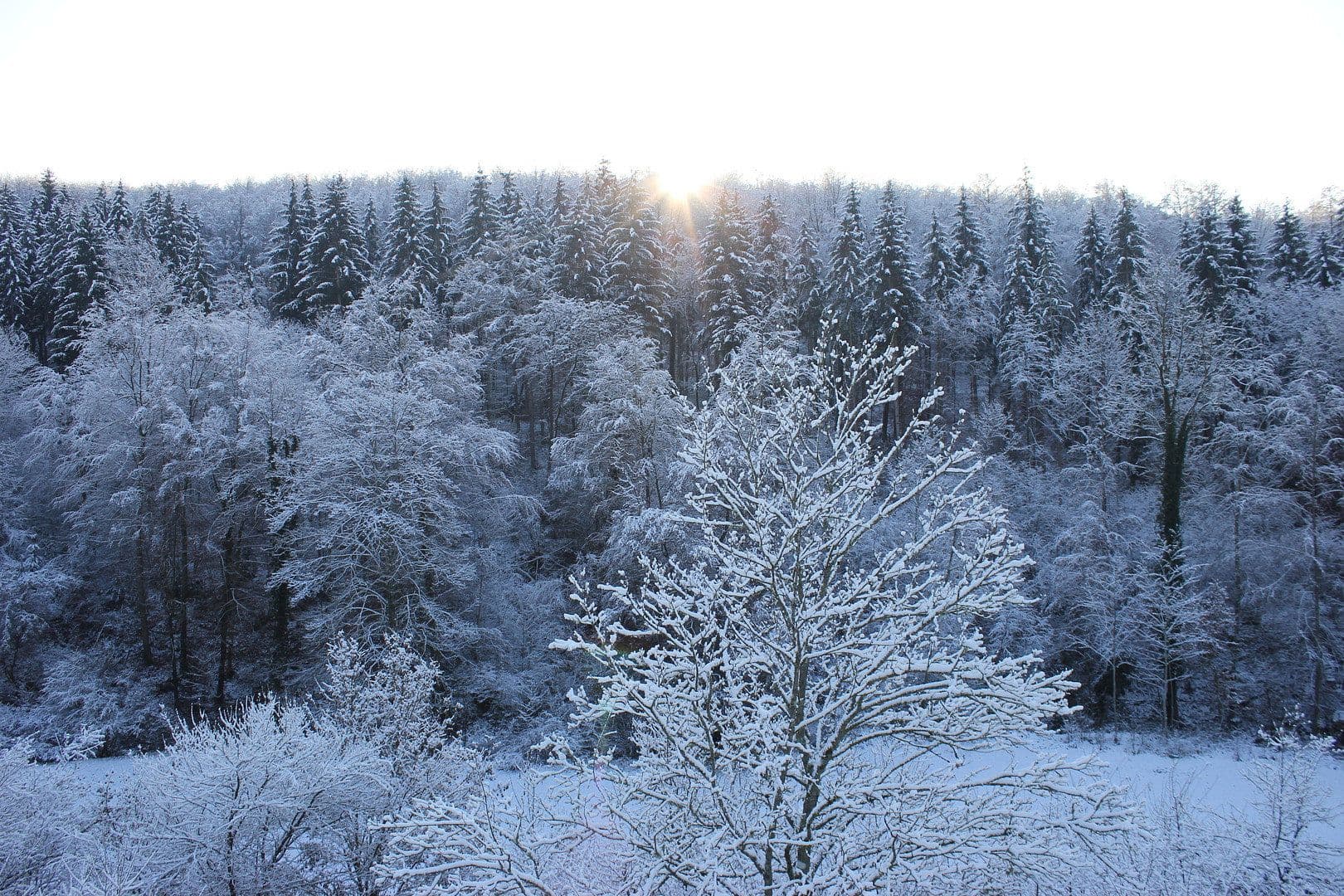 Prenájom bytu 2-izbový 45 m², Uhingen, Bádensko-Wurttembersko Prenájom bytu 2-izbový 45 m², Uhingen, Bádensko-Wurttembersko